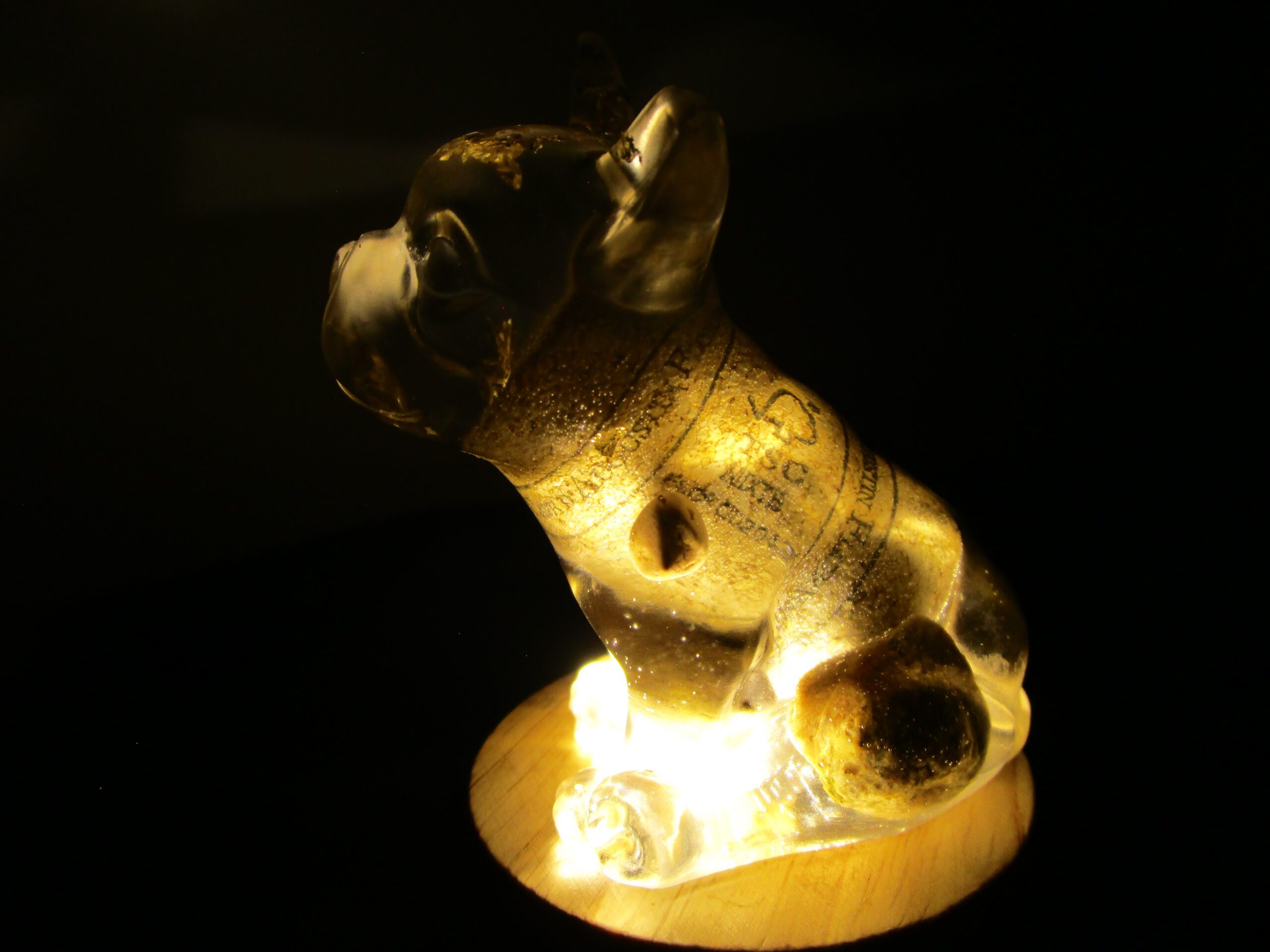 Bouledogue tonneau – Image 3