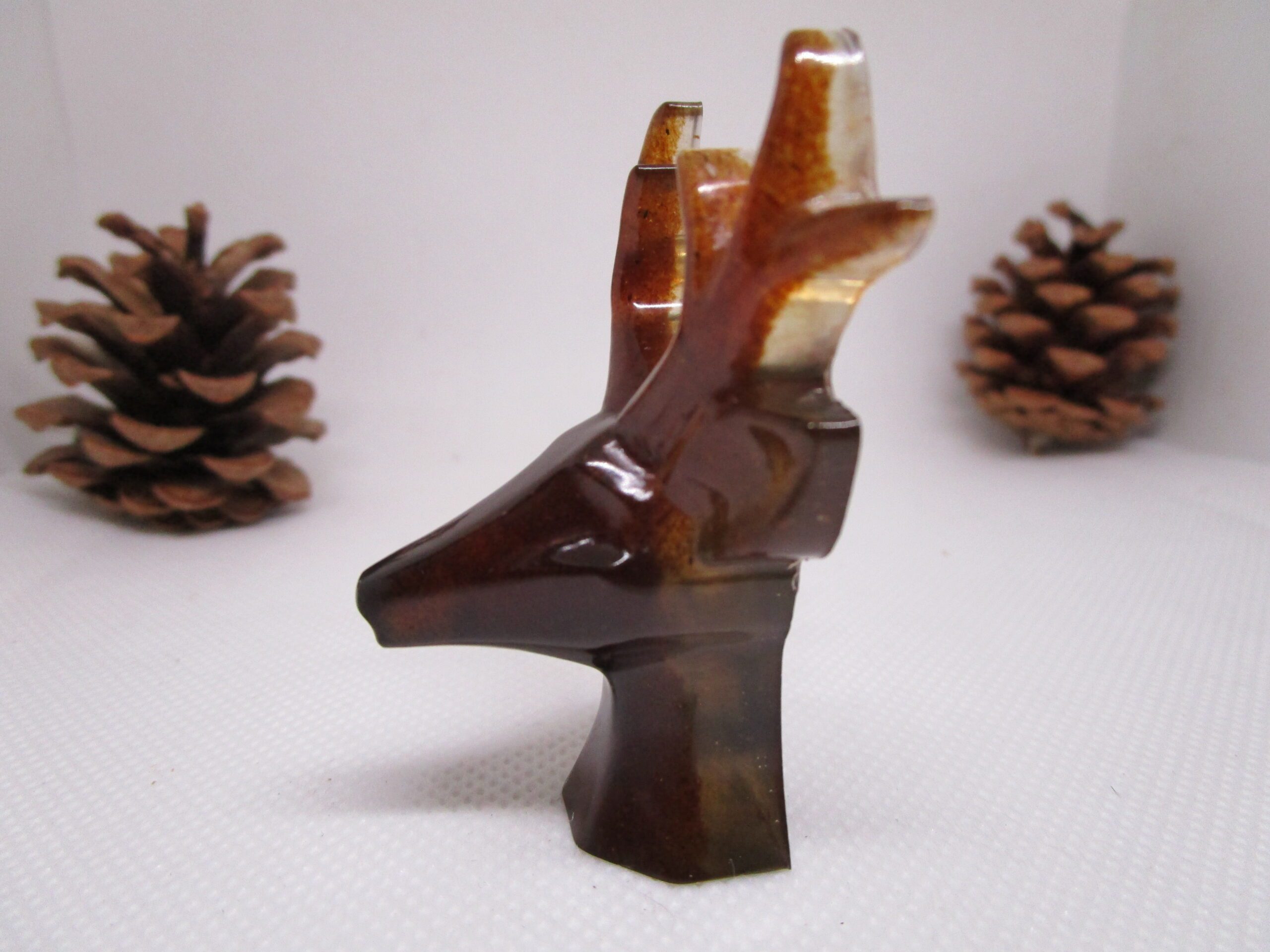 Cerf des bois – Image 2