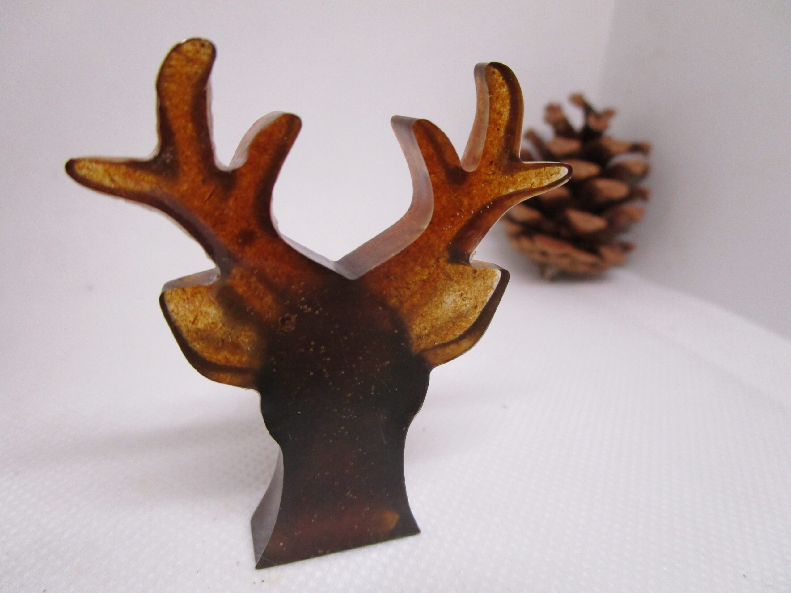 Cerf des bois – Image 3