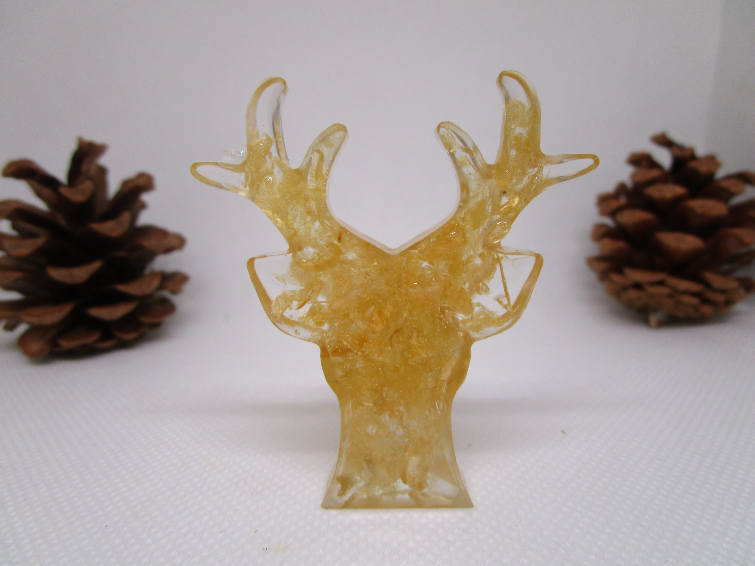 Cerf des Contrées – Image 3