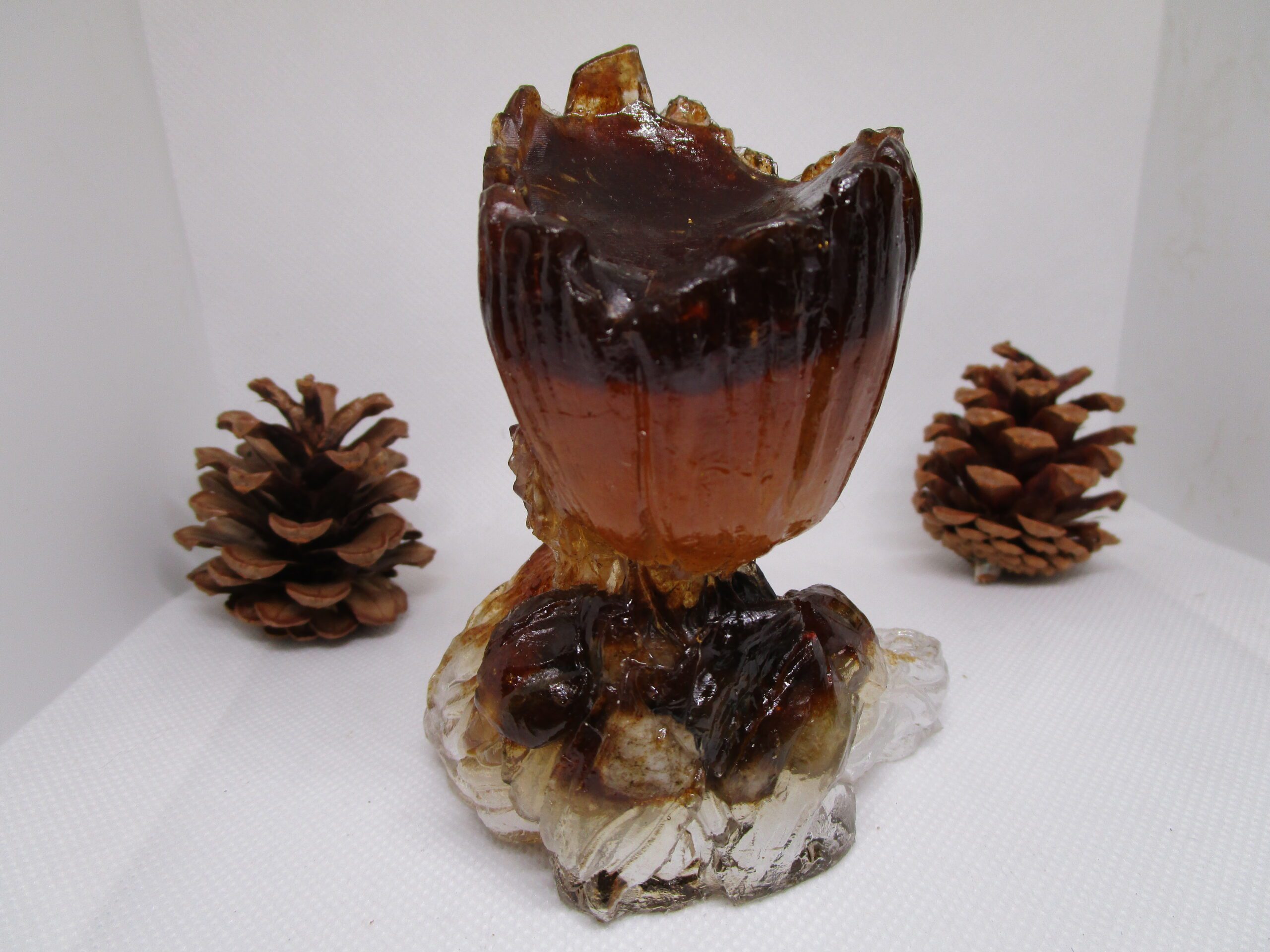 Groot sciure – Image 2
