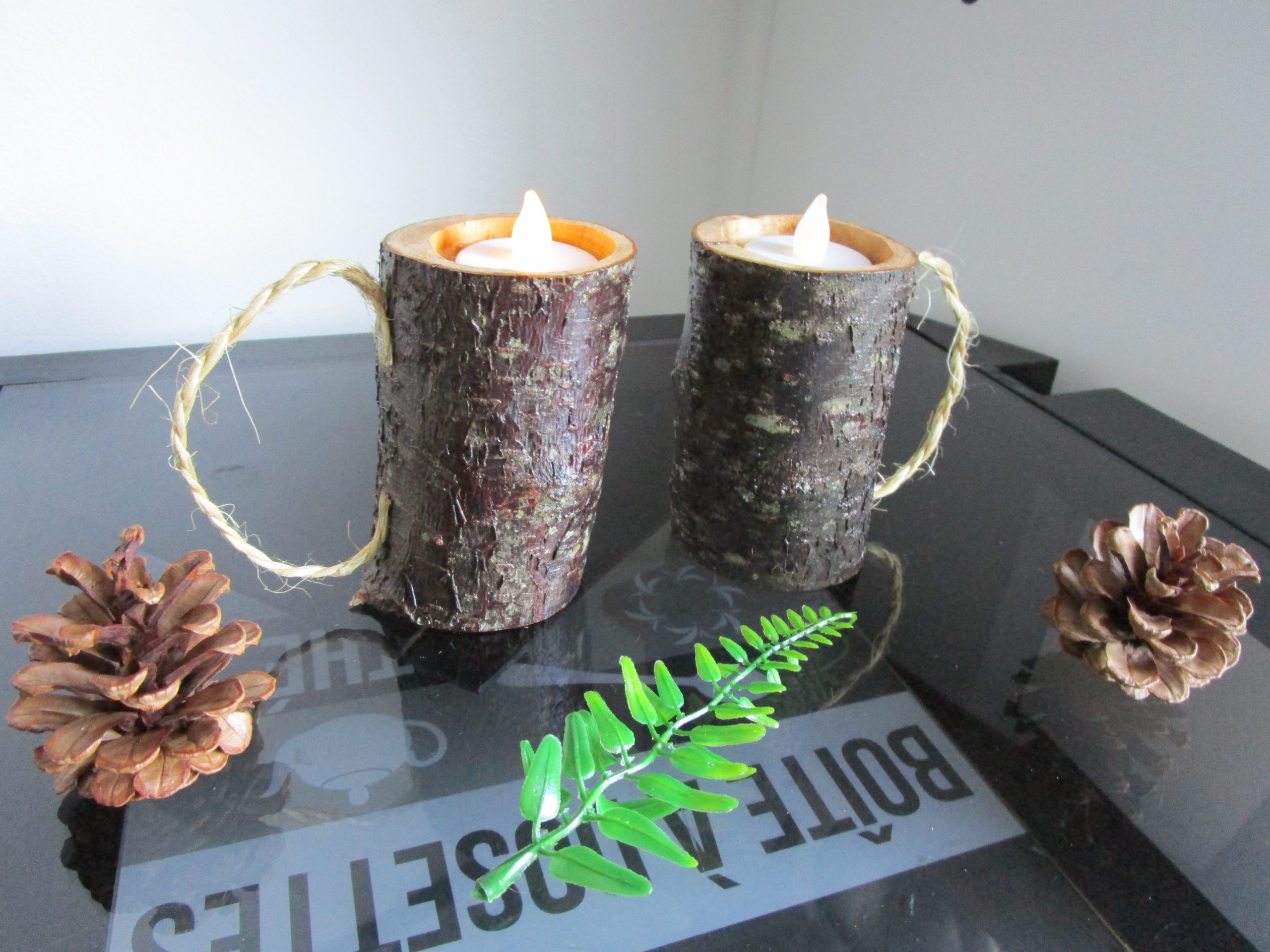 Flammes Sylvestres – Image 4
